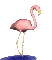 a (80).gif
